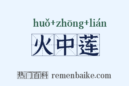 火中莲是什么意思的图片